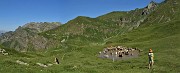 26 Fa gran caldo! La mucche si rinfrescano nella bella pozza (2050 m circa) al colletto per il monte Avaro .